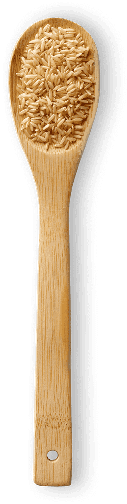 أرز بني macro photo