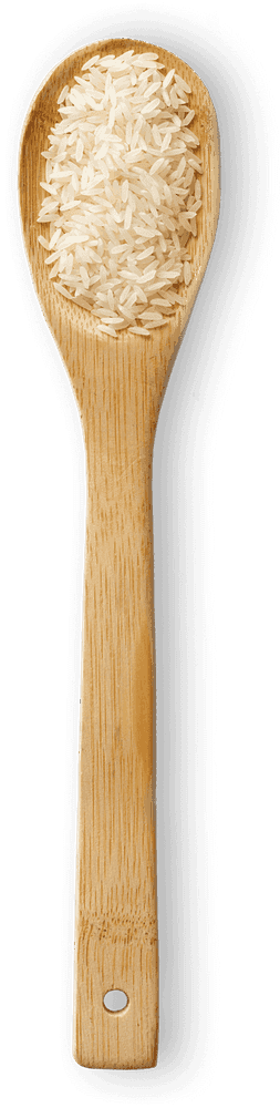 ياسمينأرز الياسمين macro photo