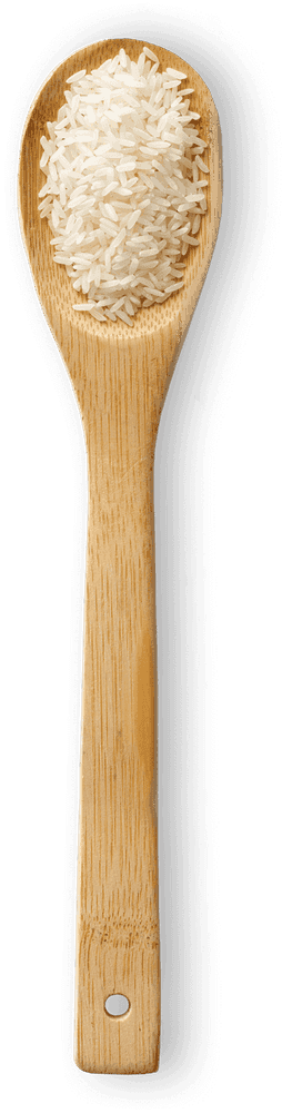 أرز حبة طويلة macro photo