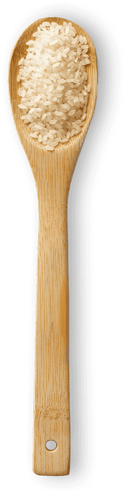 أرز متوسط الحبة macro photo